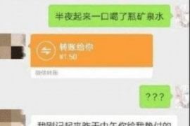 安岳如何避免债务纠纷？专业追讨公司教您应对之策