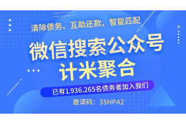 安岳为什么选择专业追讨公司来处理您的债务纠纷？